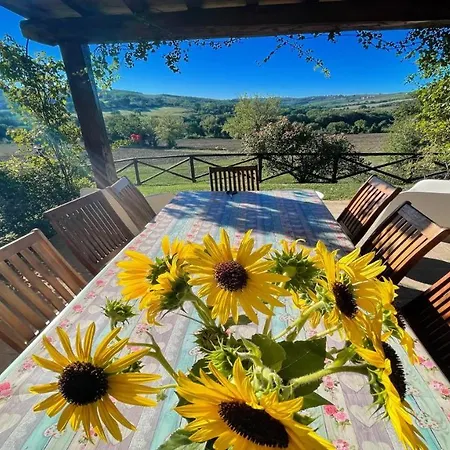 Villa Todi Poolsidesleeps 10exclusive Poolwalk To Todi 5 Kmsrestaurant 05 Kms Petroro