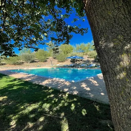 Todi Poolsidesleeps 10exclusive Poolwalk To Todi 5 Kmsrestaurant 05 Kms Villa Petroro