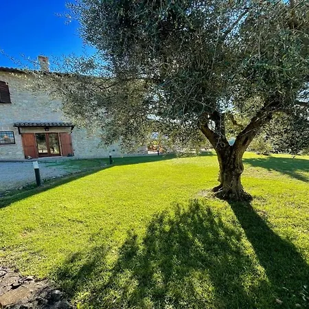 Todi Poolsidesleeps 10exclusive Poolwalk To Todi 5 Kmsrestaurant 05 Kms Villa Petroro